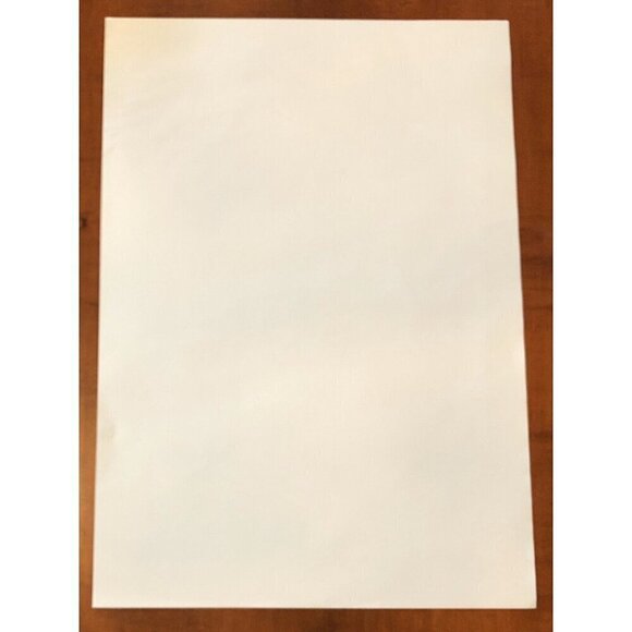 VTG 19"x27" REBECCA GRANT Keystone Light Rolling Stone Means 21 POSTER 2002 - Picture 2 of 2